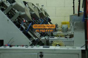 شركة قائم لإنتاج أعواد المثلجات