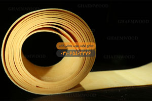 شركة قائم لإنتاج أعواد المثلجات