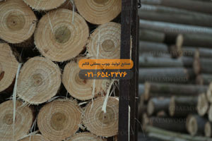 شركة قائم لإنتاج أعواد المثلجات