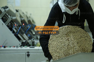 شركة قائم لإنتاج أعواد المثلجات